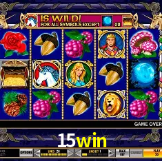 15win Rio de Janeiro - Bonus Terms